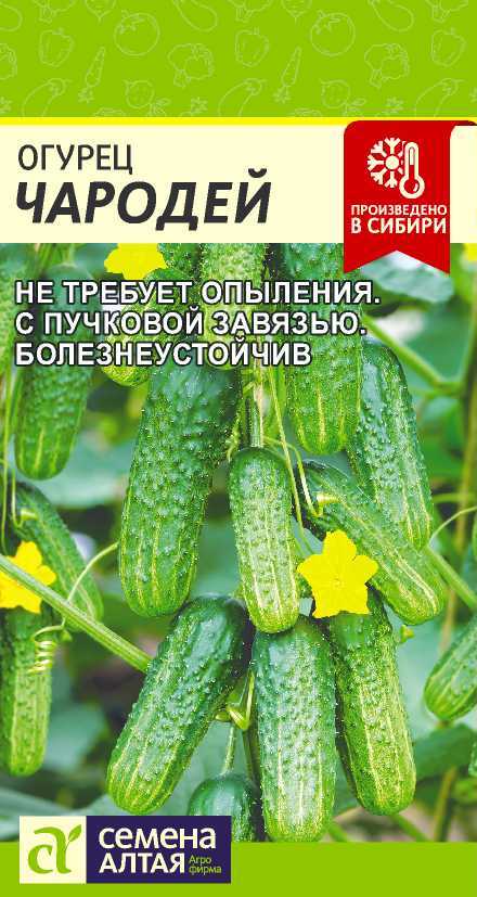 Огурец Чародей