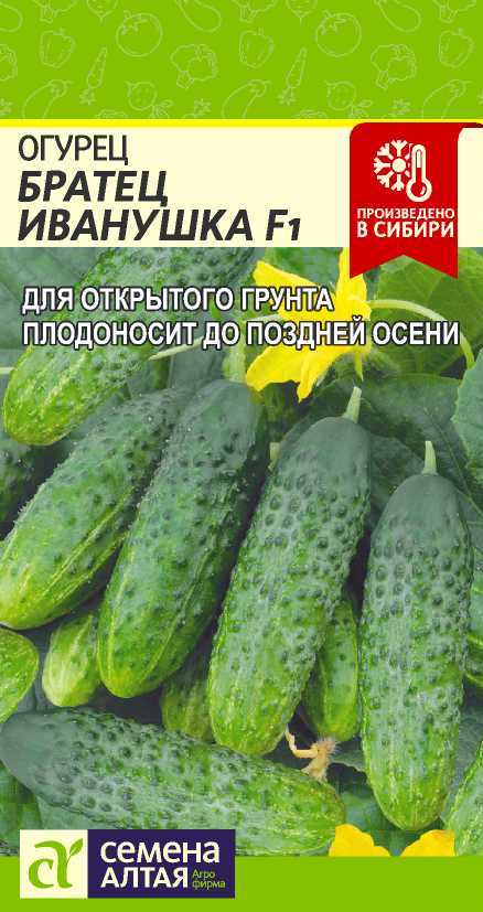 Братец Иванушка цп