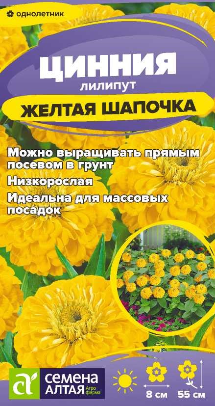 Цинния лилипут Желтая шапочка