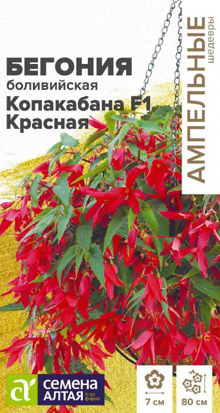 Бегония Копакабана Красная