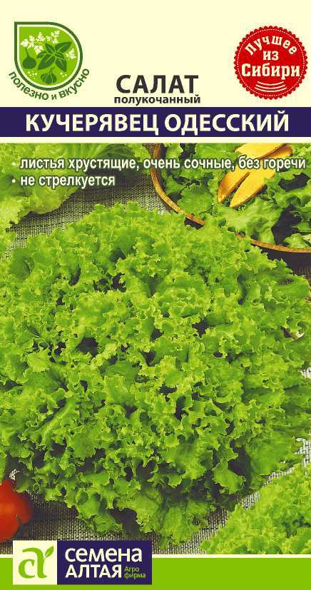 Салат Кучерявец одесский цп