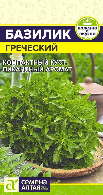 Базилик Греческий