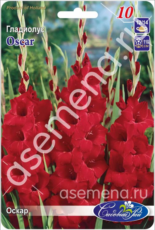 Оскар