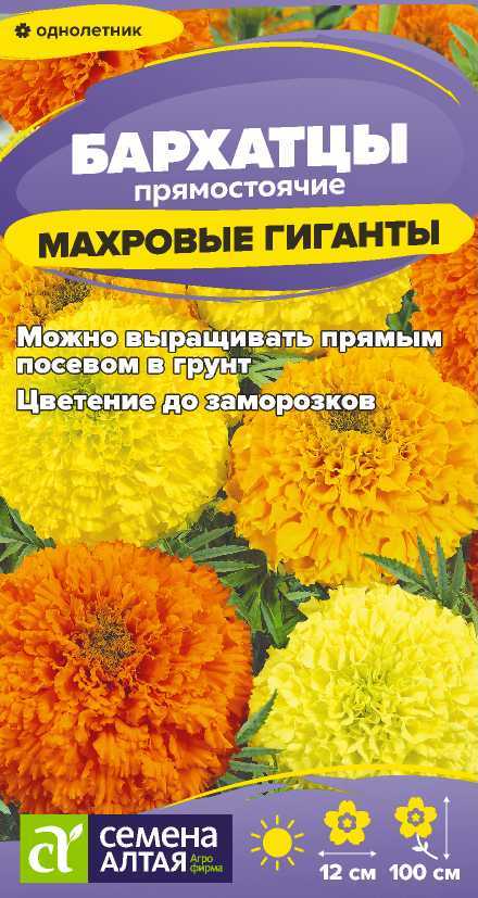 Бархатцы махровый гигант