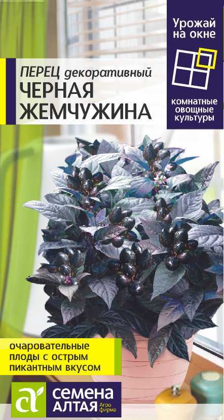 Черная жемчужина