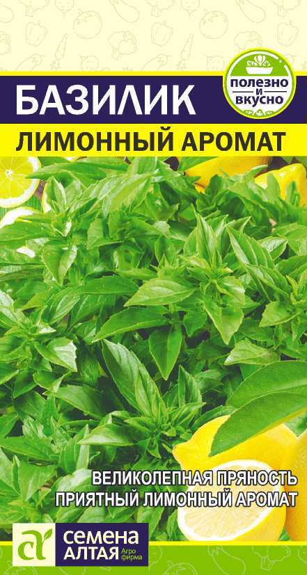Базилик
