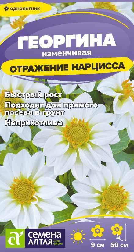 00010033502
