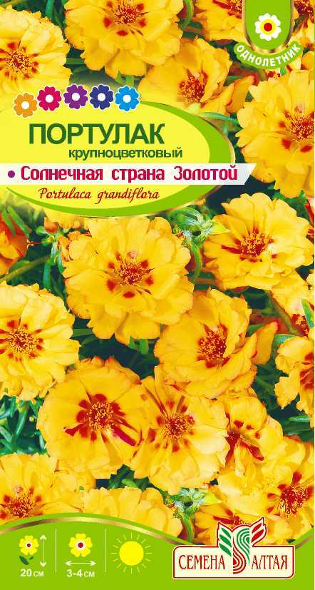 Солнечная страна золотой