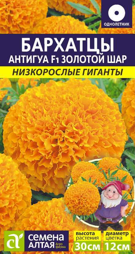 Антигуа золотой