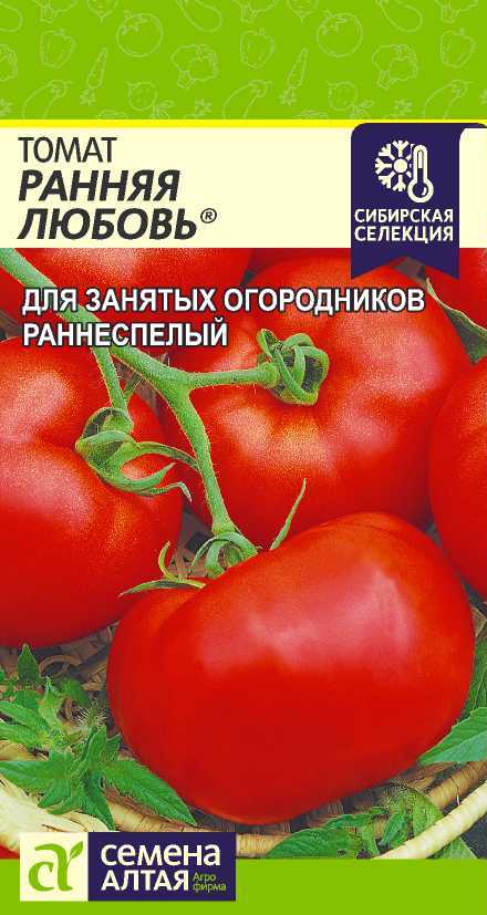 Ранняя любовь цп