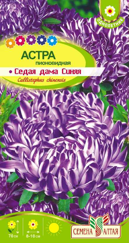 Седая дама синяя цп