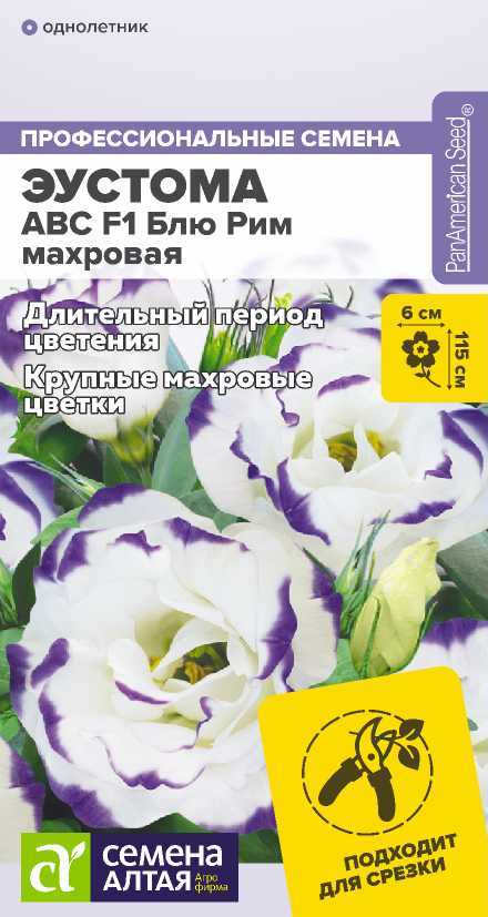 00-00016513
