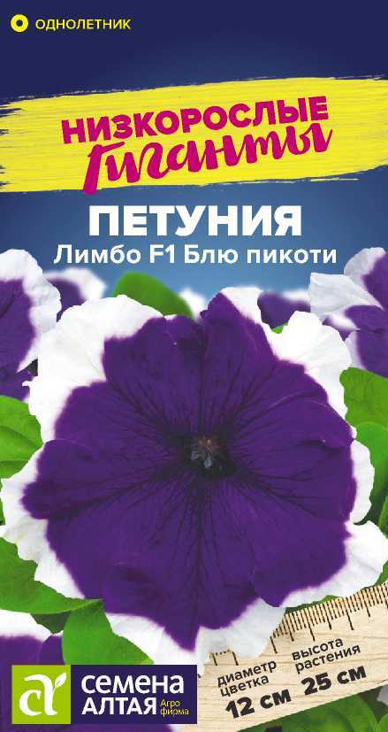 Петуния Лимбо Блю пикоти