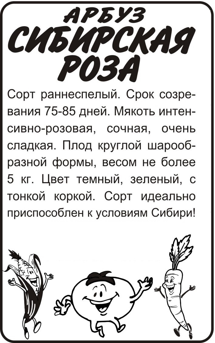 Сибирская роза бп