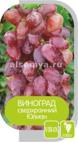 Юлиан2