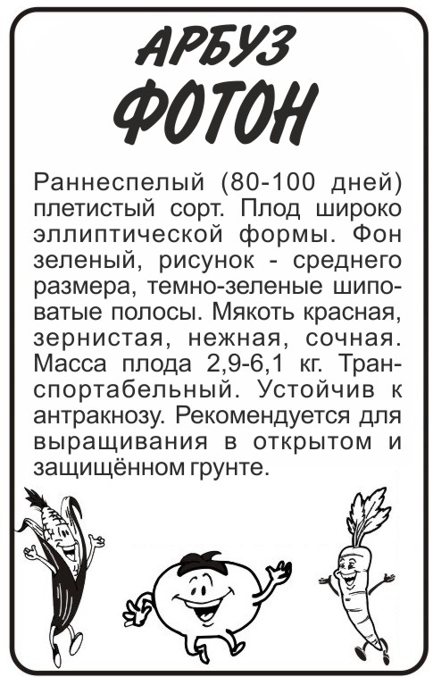 Фотон бп