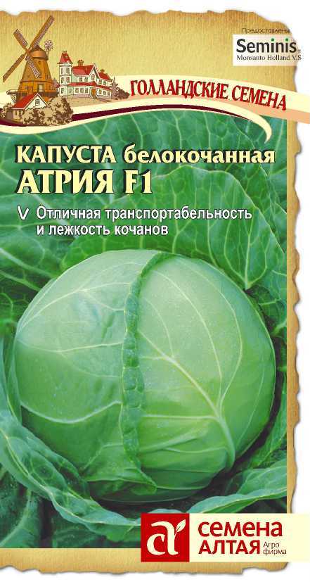 Атрия цп
