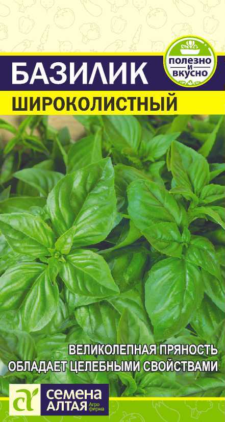 Базилик широколистный цп