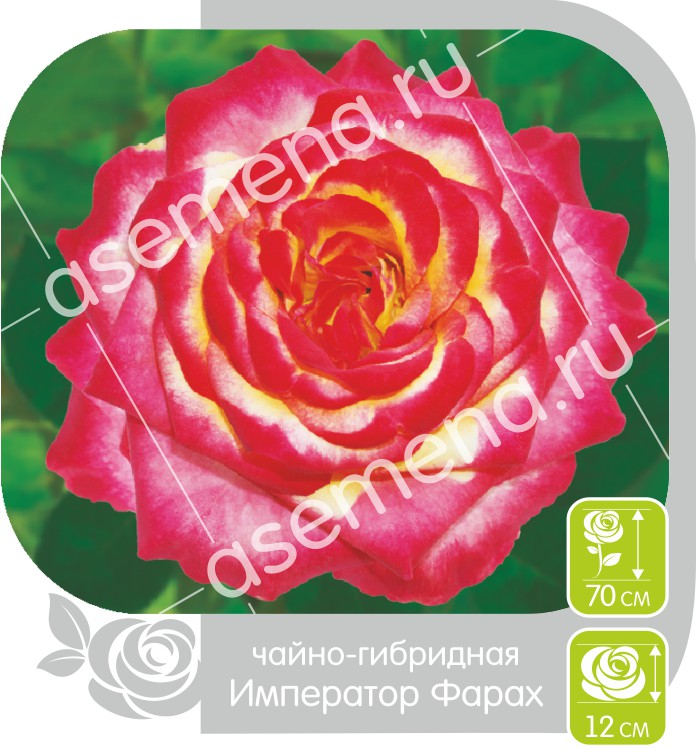 Император Фарах