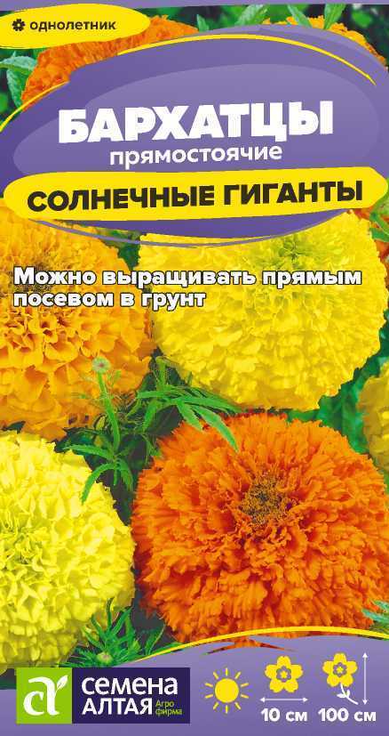 Бархатцы солнечные гиганты