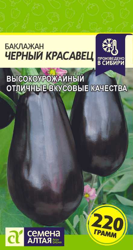 Баклажан Черный красавец