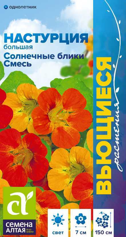 Настурция солнечные блики