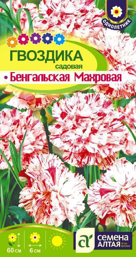 Садовая Бенгальская