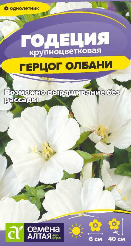 Годеция Герцог Олбани