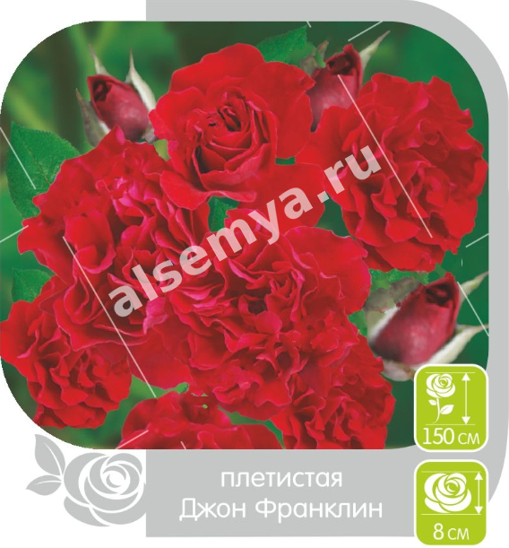 Джон Франклин