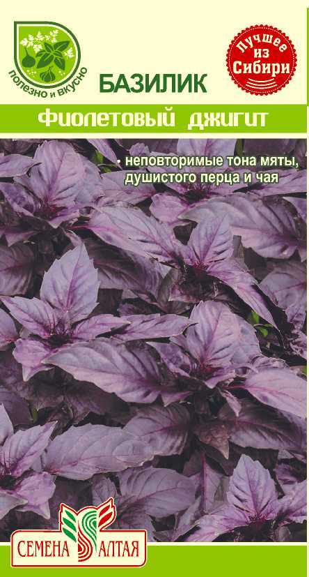 Базилик фиолетовый Джигит цп