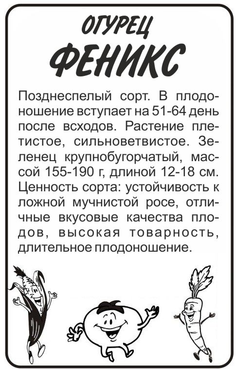 Феникс бп