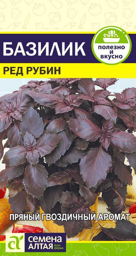 Ред Рубин
