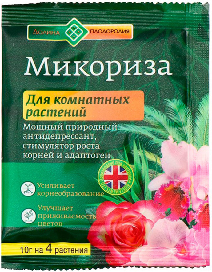 micoriza_komnatye