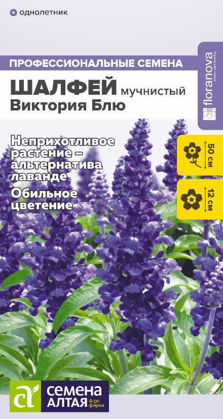 Шалфей Виктория Блю