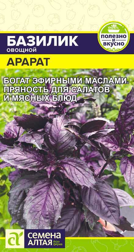 Базилик Фиолетовый арарат