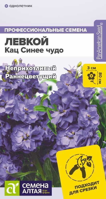 Левкой кац синее утро
