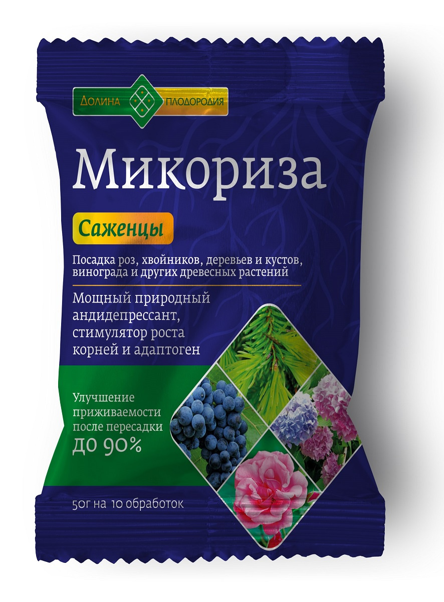 micoriza_sazhenci