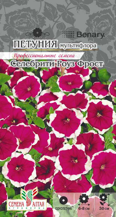 Селебрити Роуз Фрост