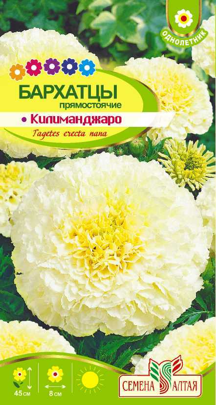 Килиманджаро