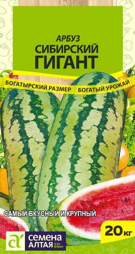 Сибирский гигант
