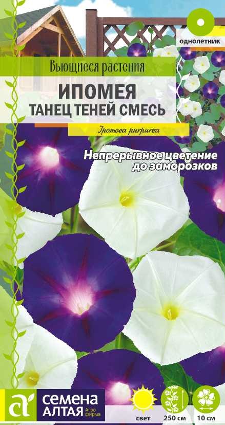 Танец тенец