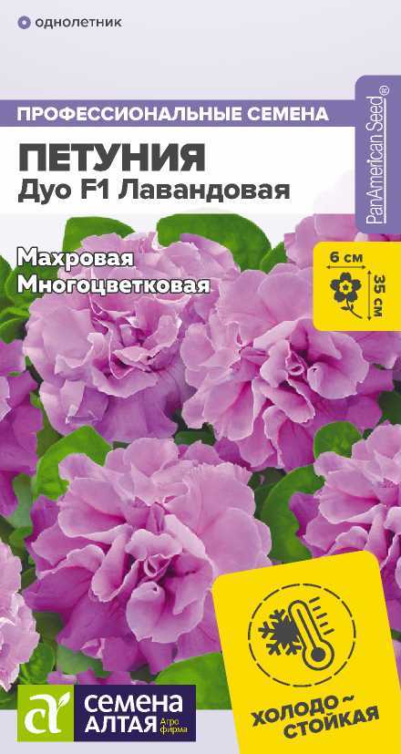 Петуния дуо лавандовая