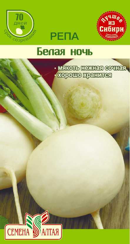 Белая ночь цп