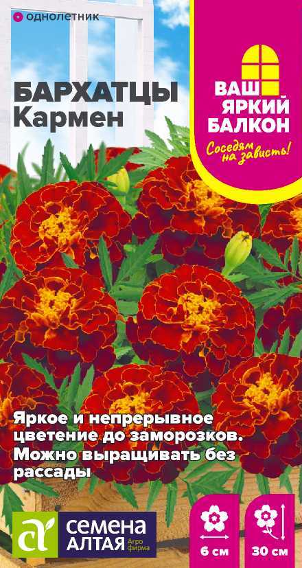 Бархатцы Кармен