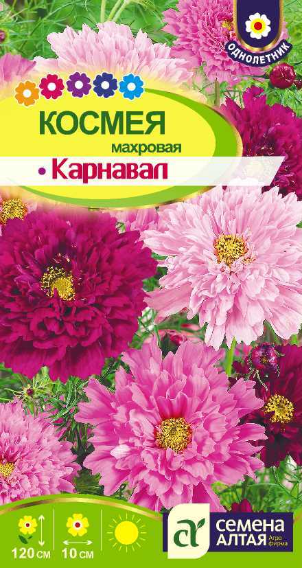 Космея карнавал