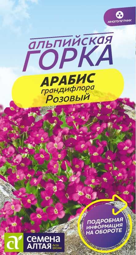 Арабис розовый