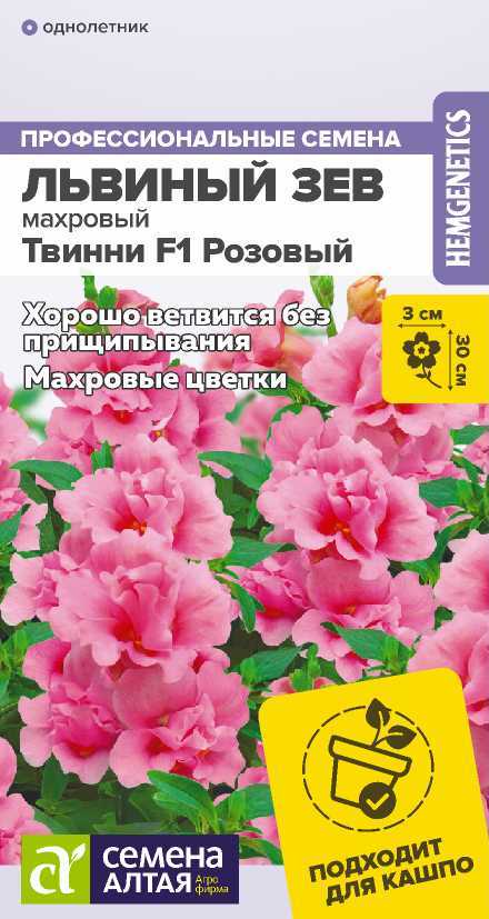 Львиный зев Твинни розовый