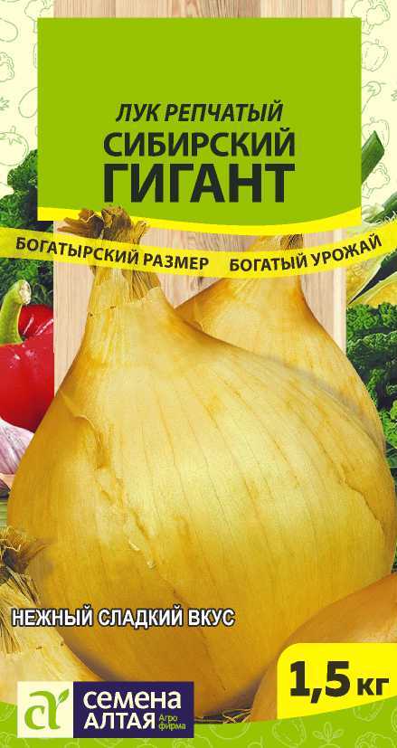 Сибирский гигант