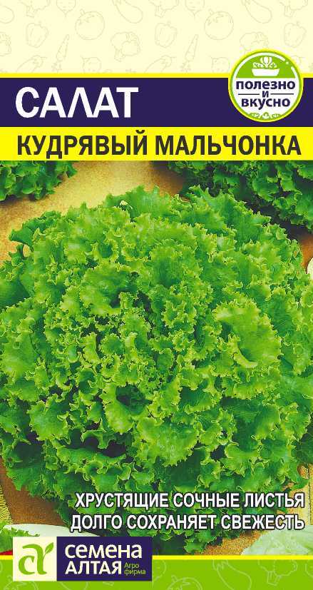 Салат Кудрявый мальчонка цп