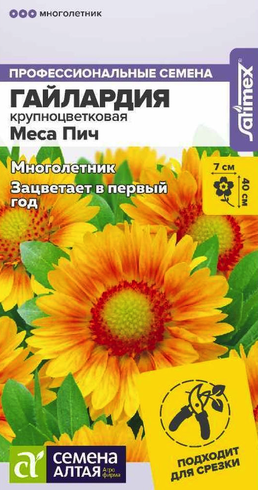 Гайлардия Меса Пич